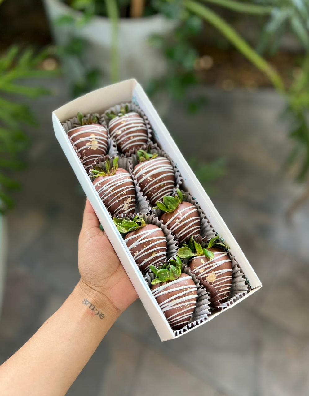 WhatsApp Image 2025-11-27 at 6.57.10 PM